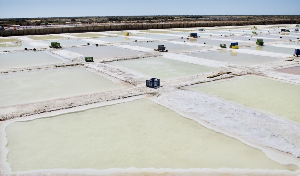 Photograph by Olga Pereira