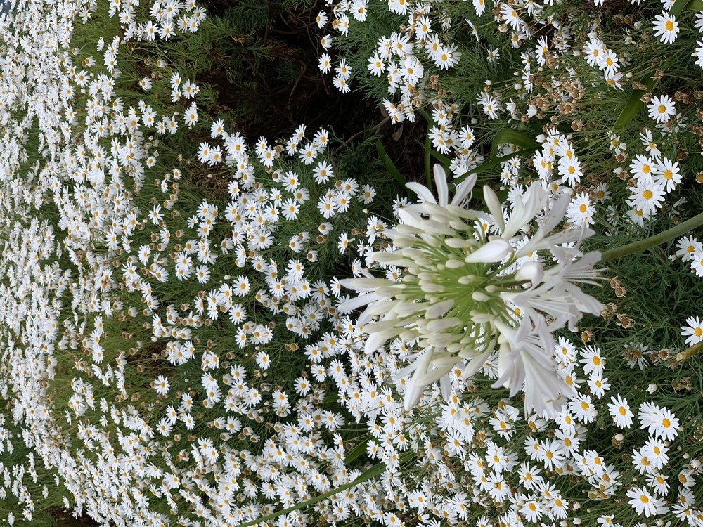 Photograph by Olga Pereira