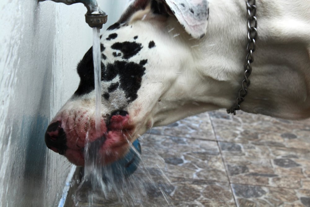 Photograph by Monica Macri