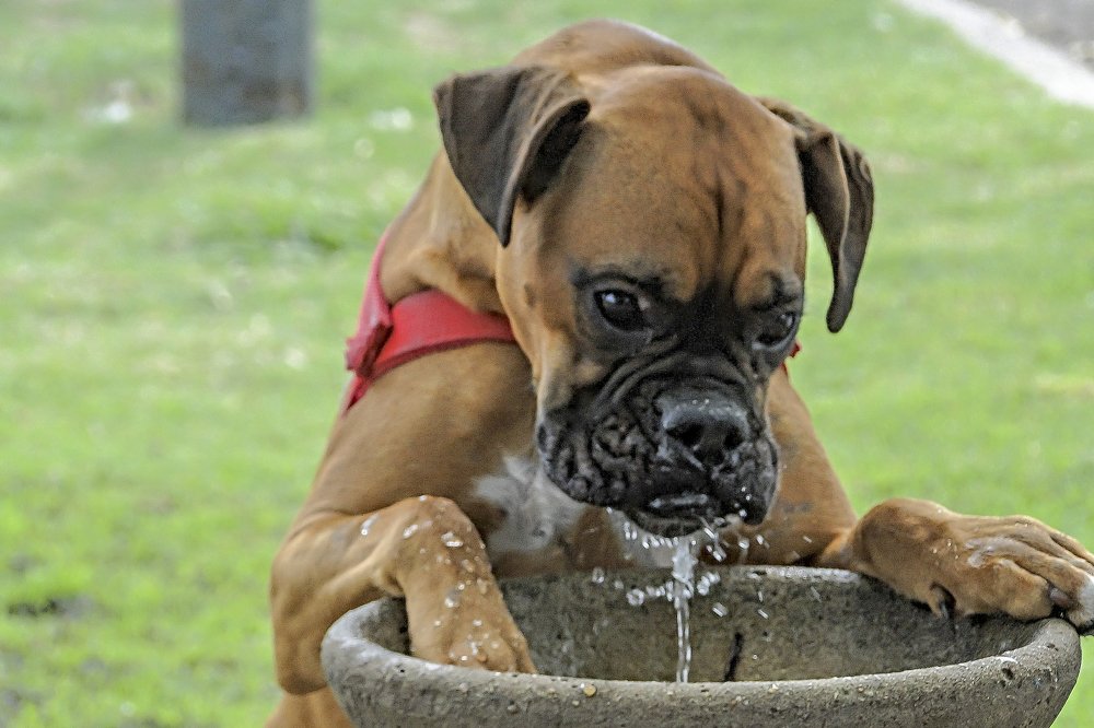 Photograph by Monica Macri