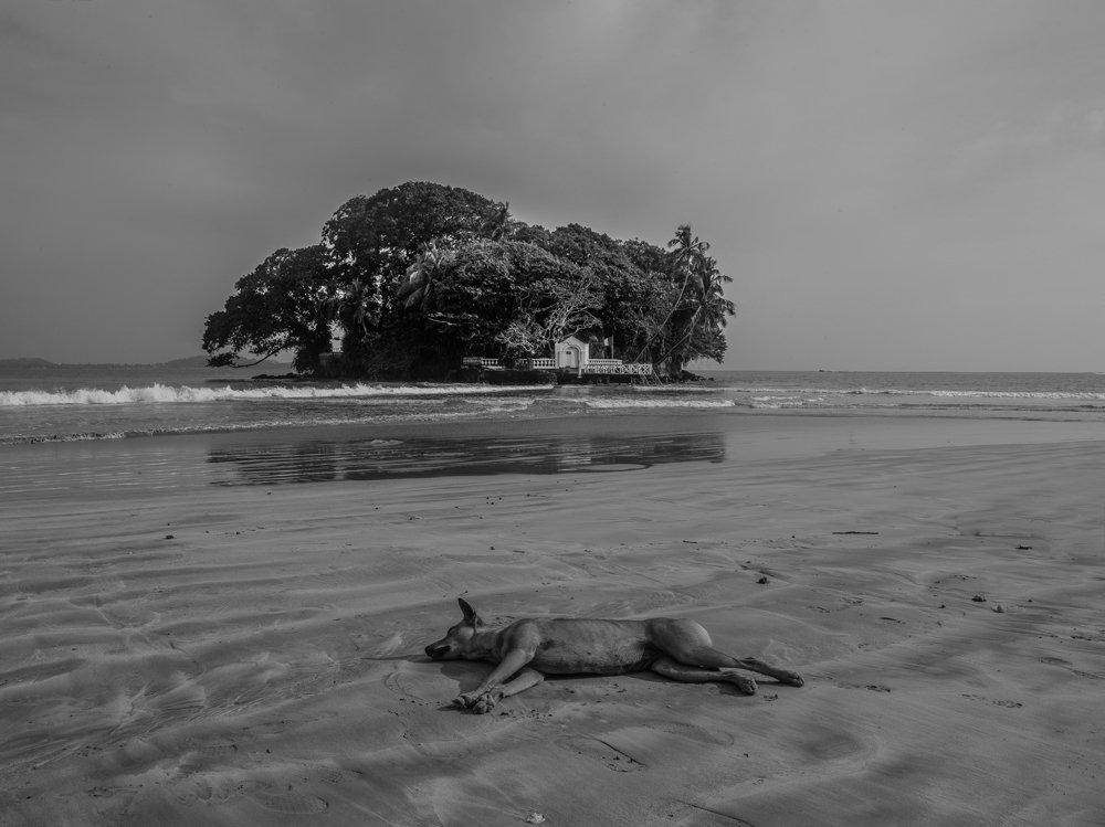 Photograph by pouyan safavi