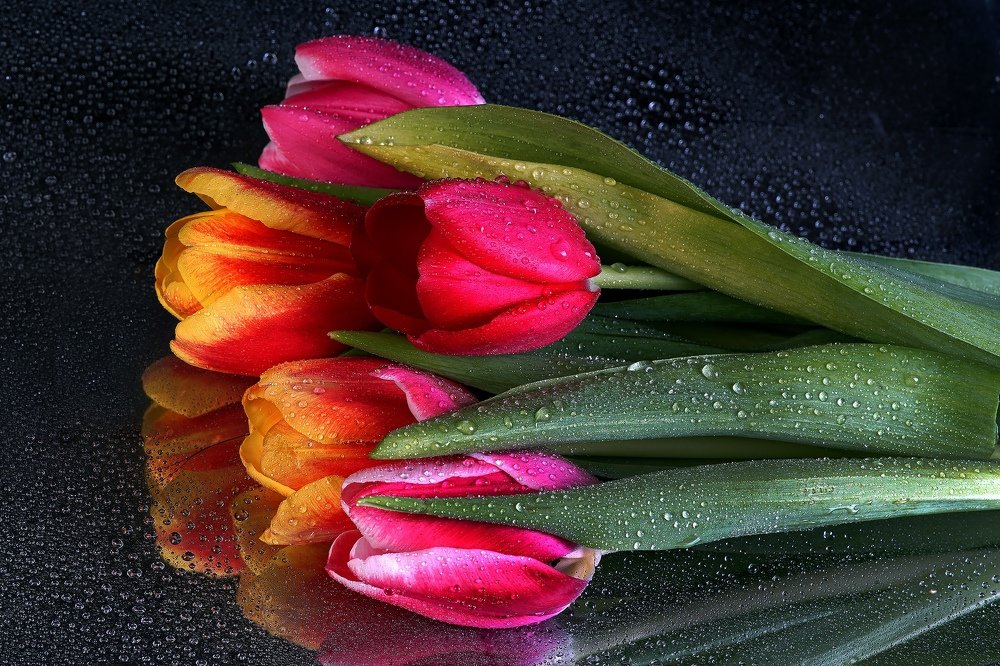 Фотография автора слесарь