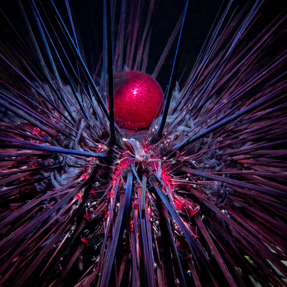 Photograph by Андрей Савин