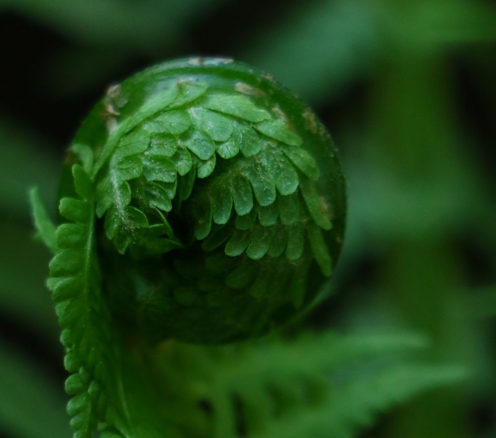 Photograph by Александр Шаварёв