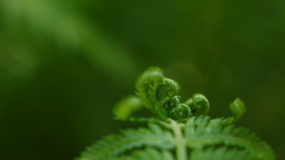 Photograph by Александр Шаварёв