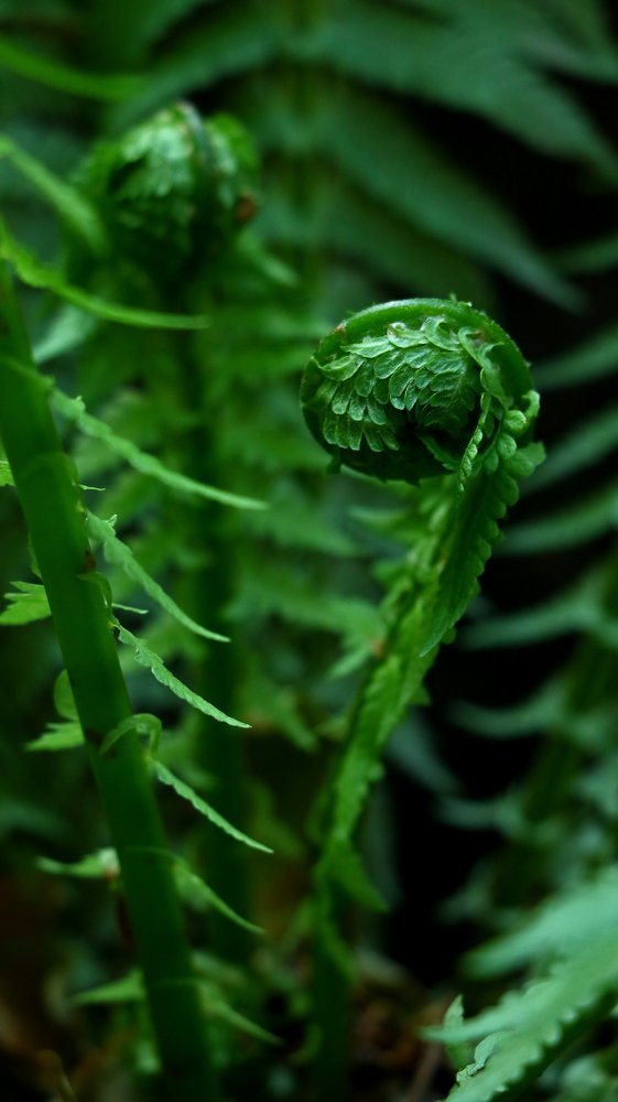 Photograph by Александр Шаварёв