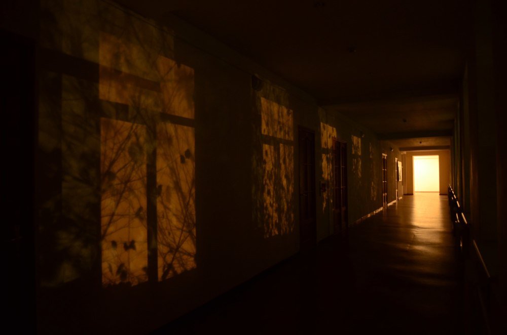 Photograph by Александр Шаварёв