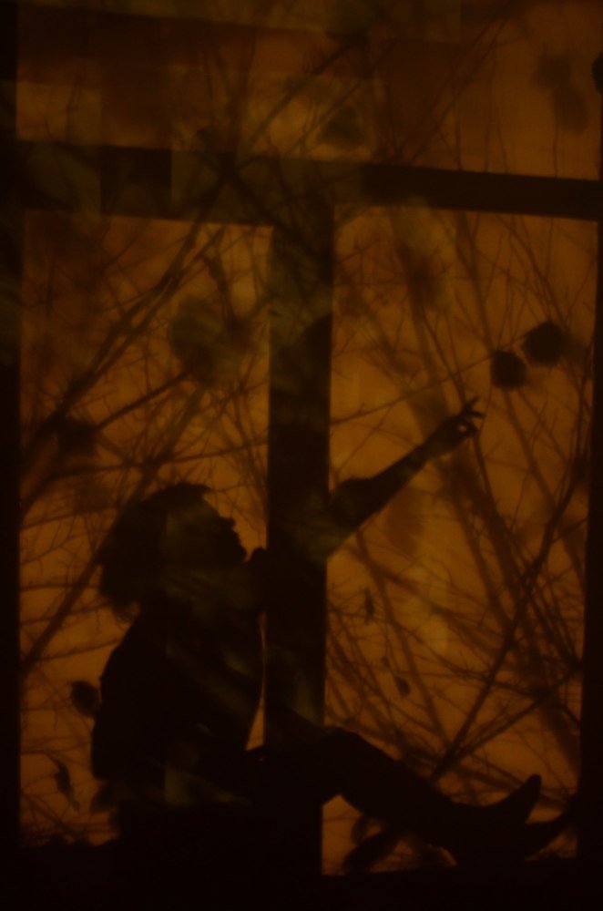 Photograph by Александр Шаварёв