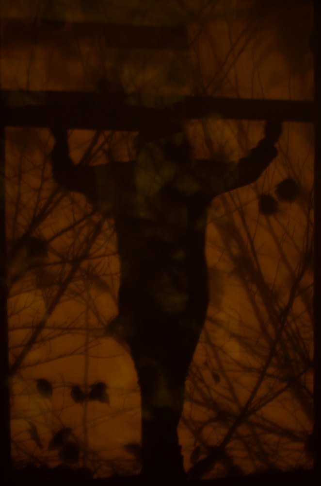 Photograph by Александр Шаварёв