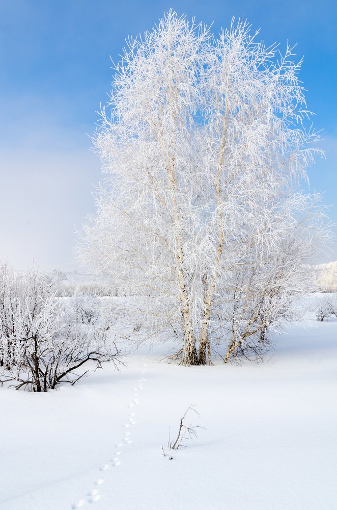 Стихотворение