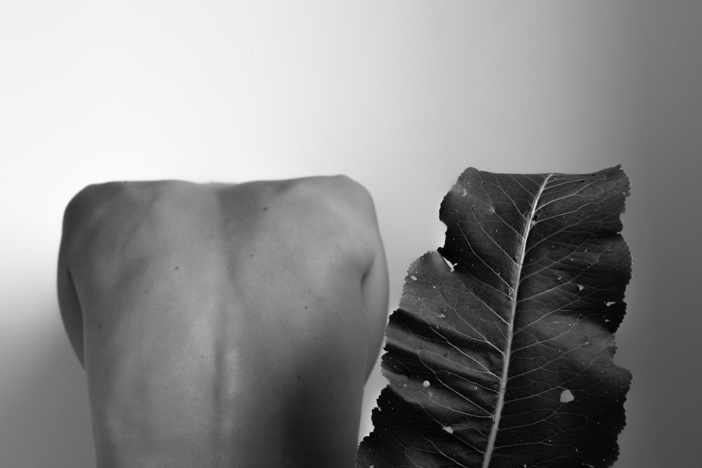 Photograph by Евгения Жос