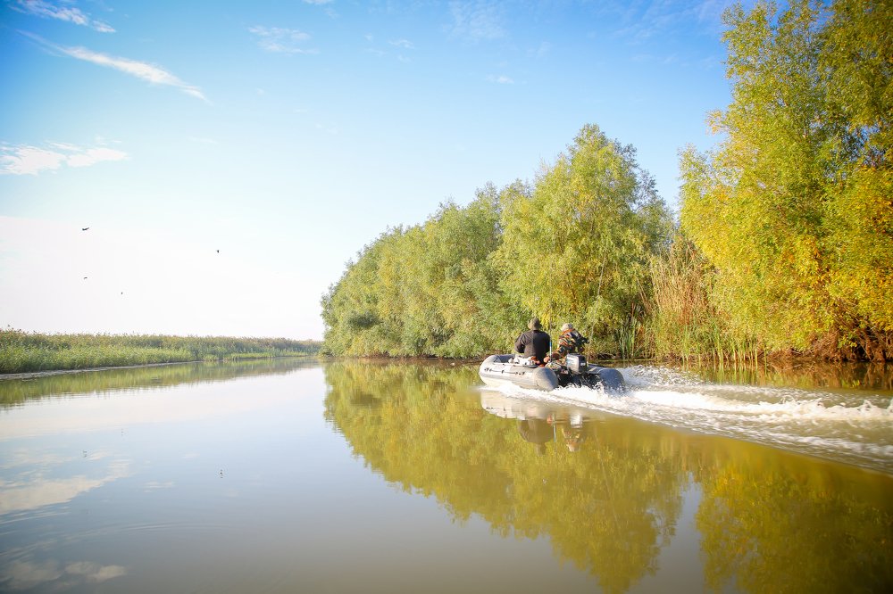 Photograph by Алексей Доценко