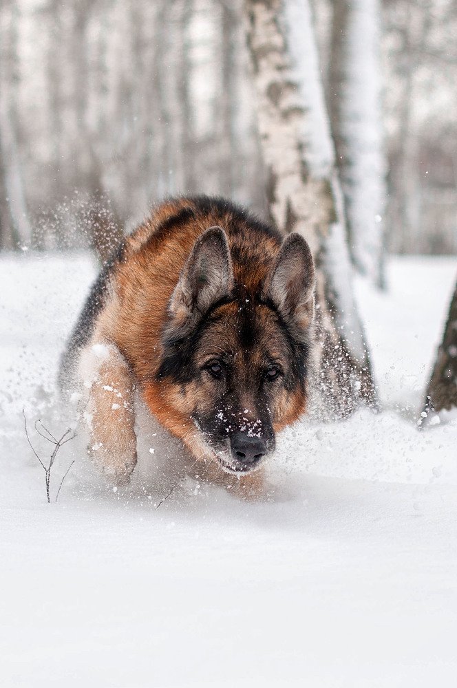 Photograph by Людмила Потапова