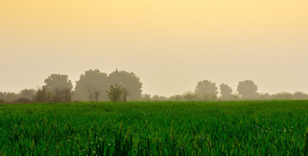 Photograph by Morteza Hekmat Maram