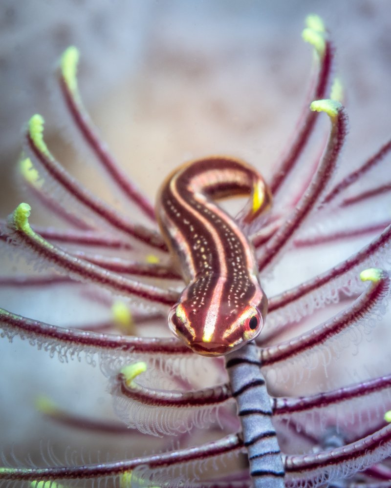 Photograph by Андрей Савин