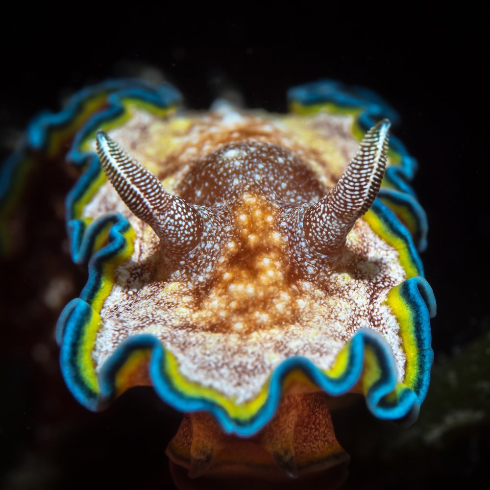 Photograph by Андрей Савин