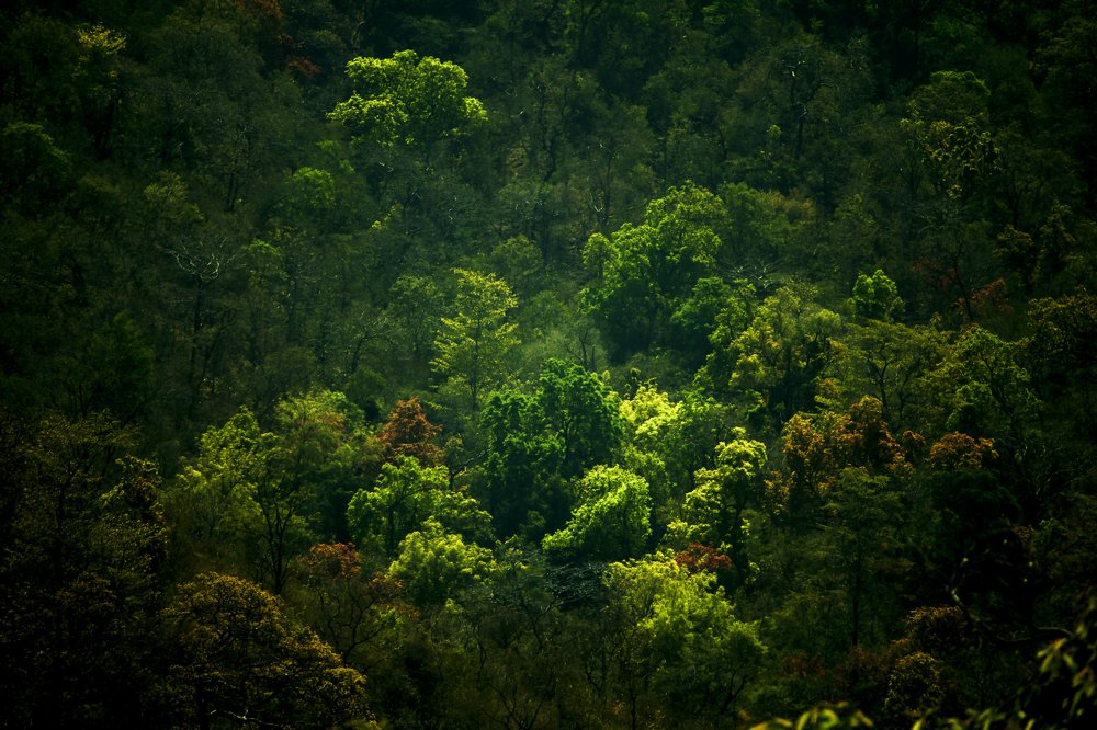 Photograph by SHREYANSH PATEL