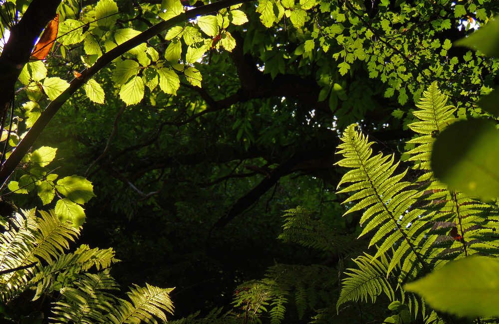 Photograph by Araz Davudov