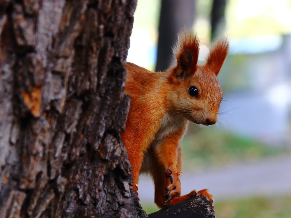 Photograph by Сергей