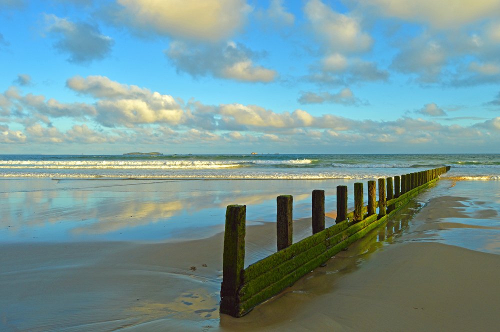 Фотография автора Anne-Mari Oksman