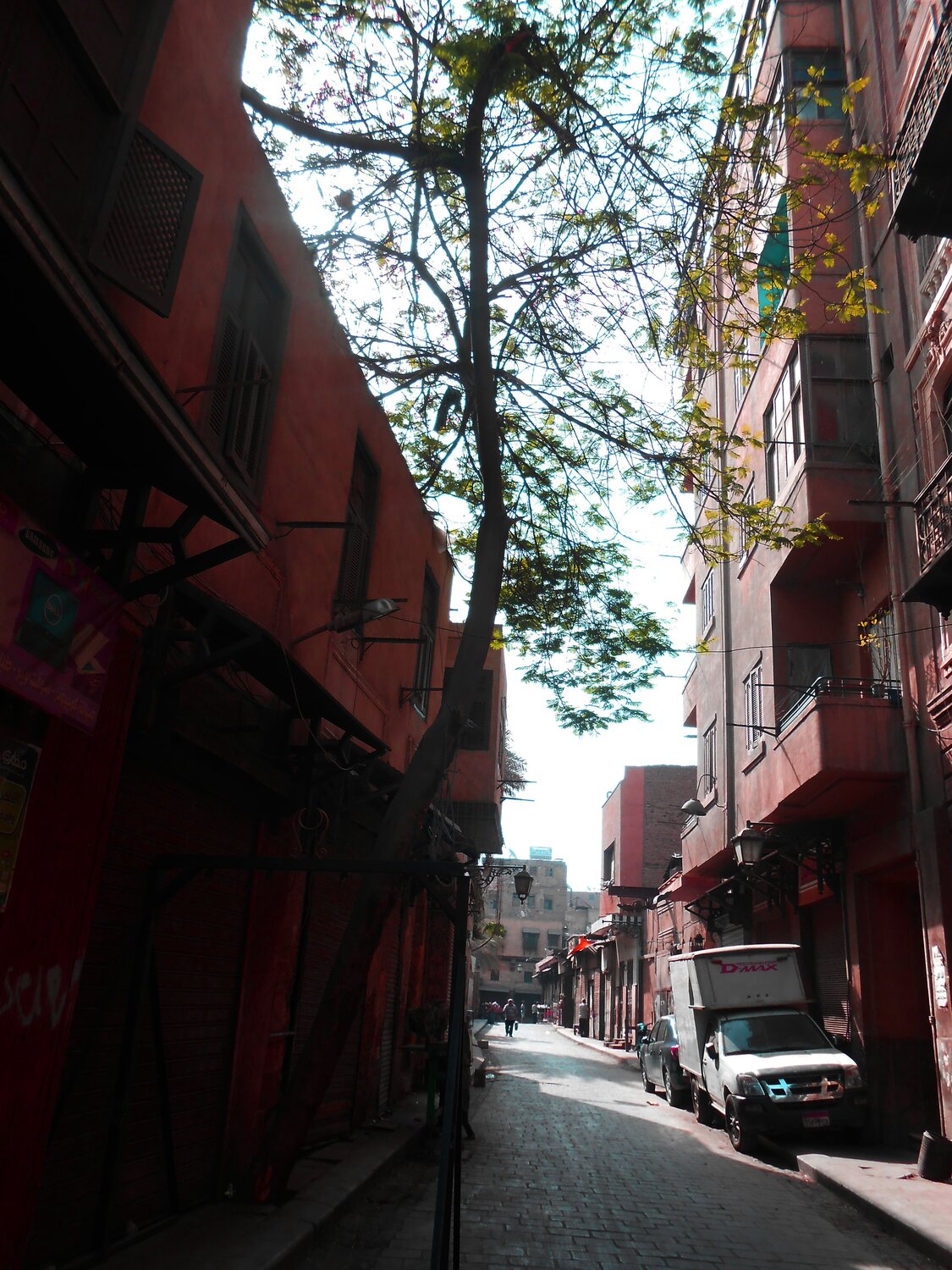 Photo #3654213
