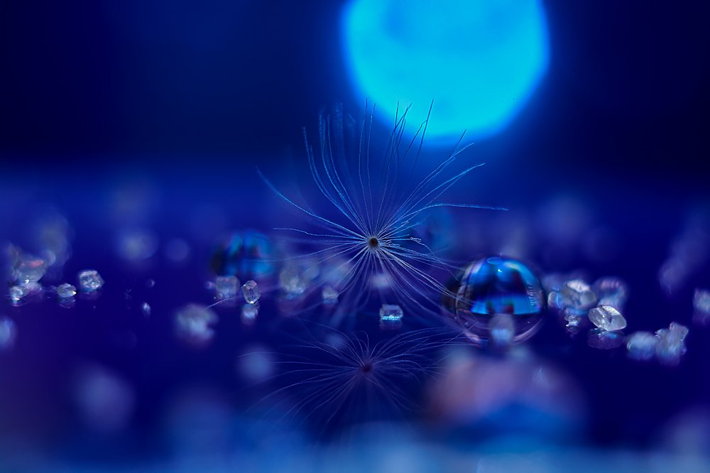 Photograph by Екатерина Бокова