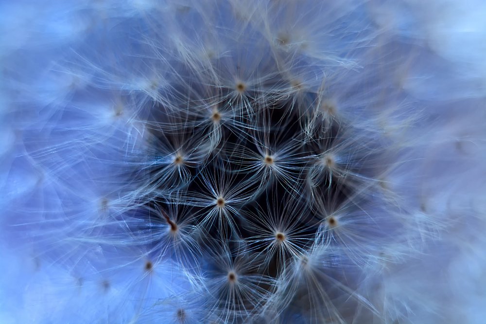 Photograph by Екатерина Бокова