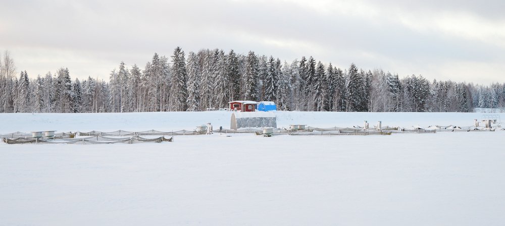 Фотография автора Anne-Mari Oksman