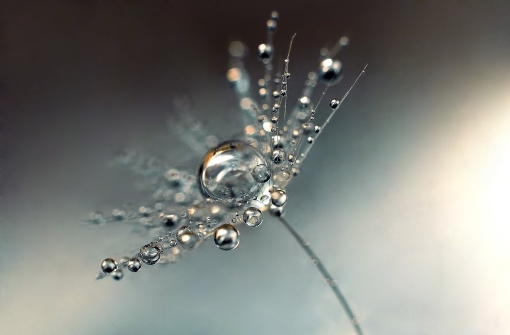 Галлактическая невесомость