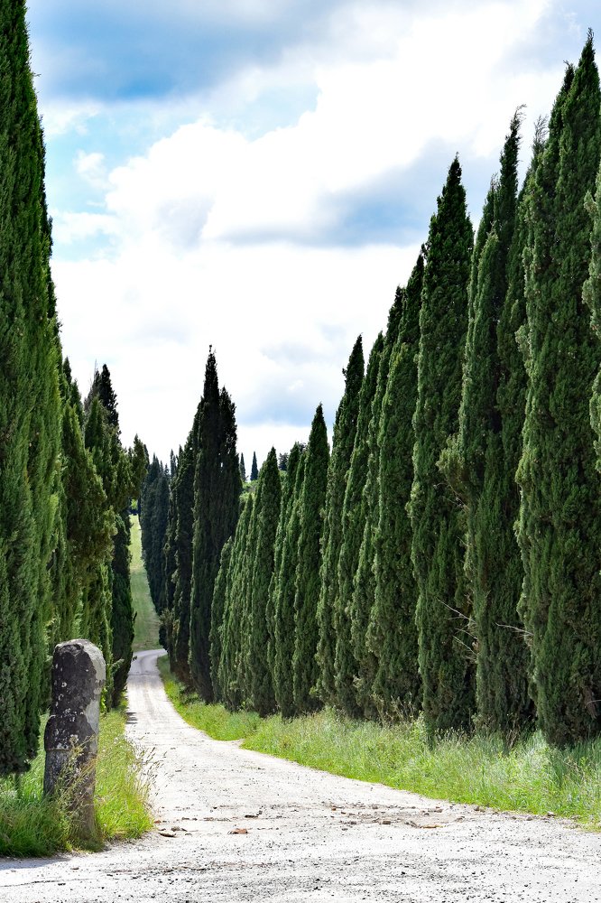 Фотография автора Anne-Mari Oksman