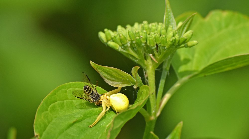 Фотография автора Anne-Mari Oksman