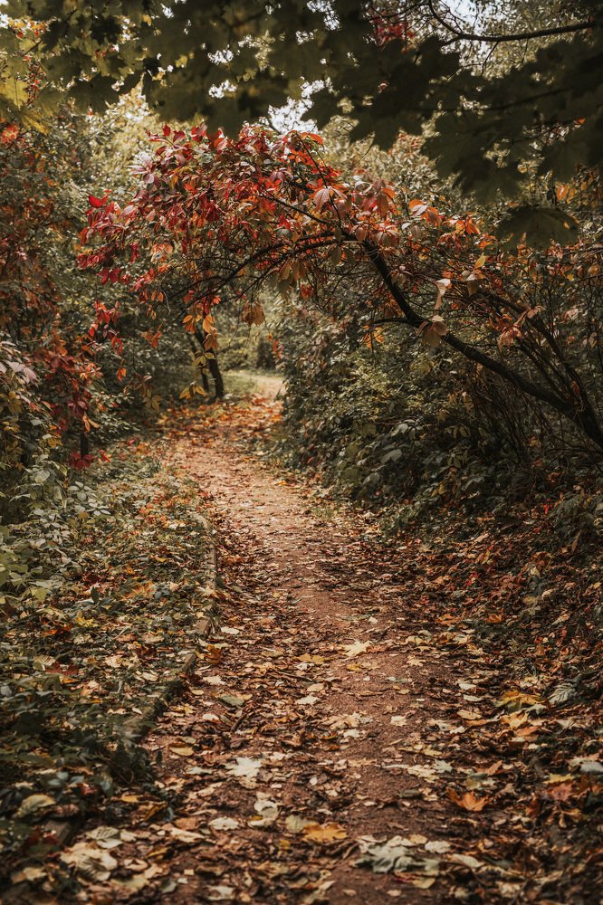 Photograph by Анна Воронина