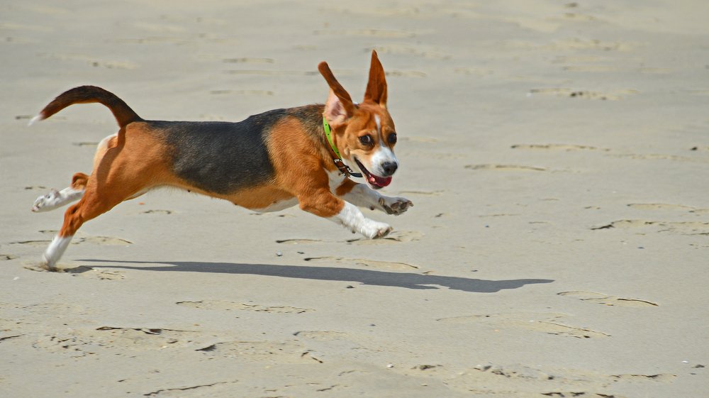 Фотография автора Anne-Mari Oksman