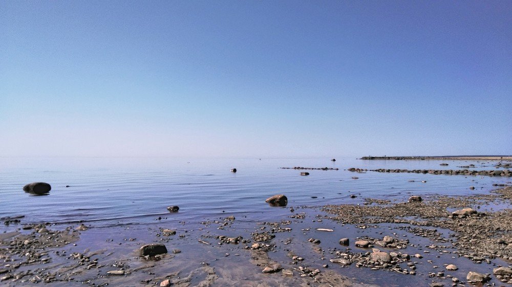 Photograph by Ирина Корнева