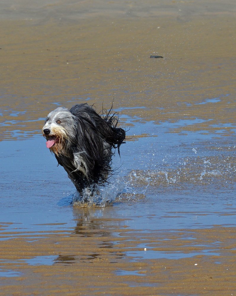 Фотография автора Anne-Mari Oksman
