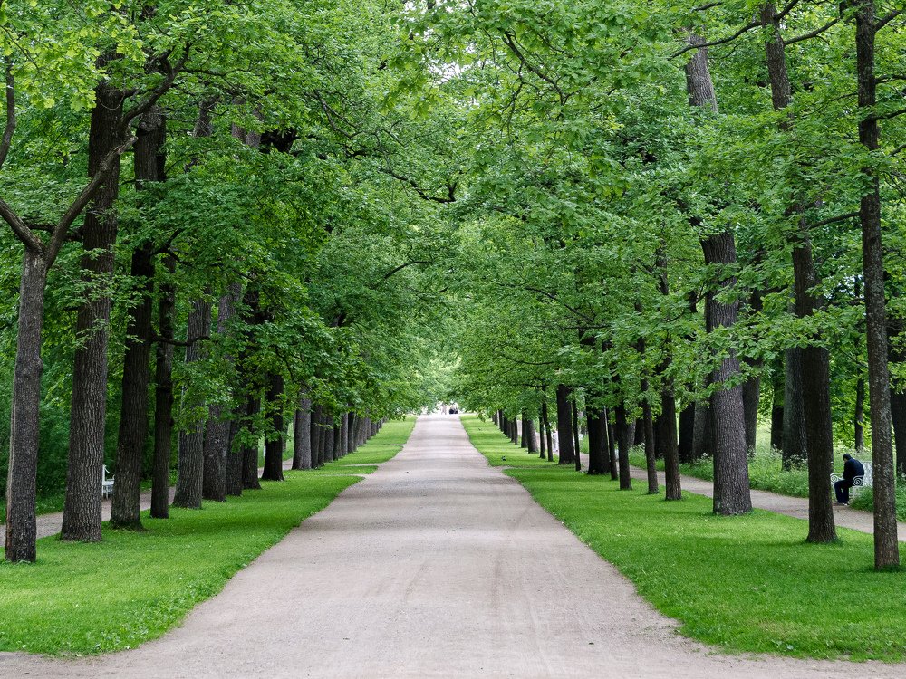 Photograph by Данил Луговой