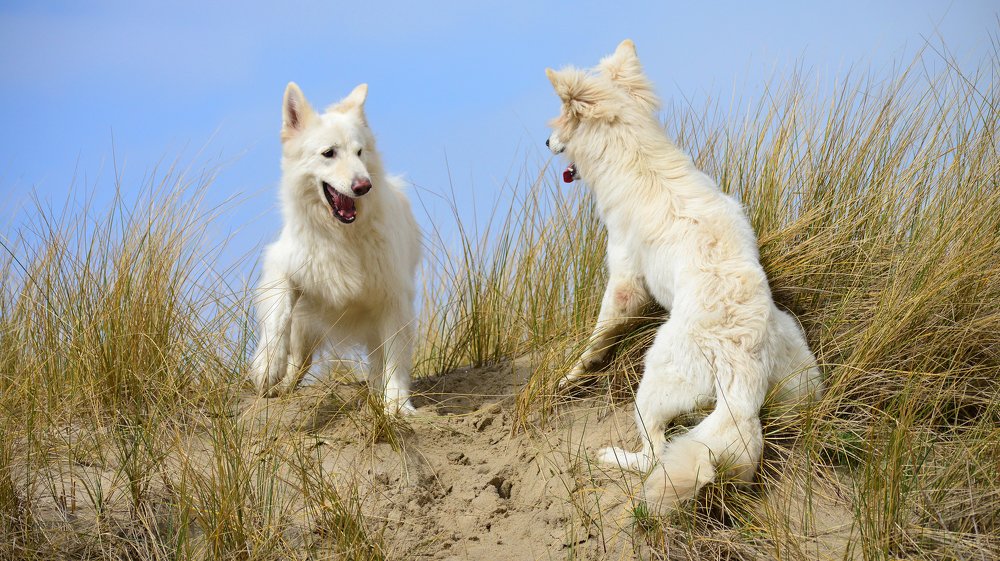 Фотография автора Anne-Mari Oksman