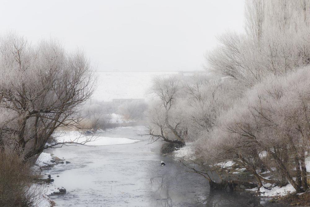 Photograph by Chia Hasankhali