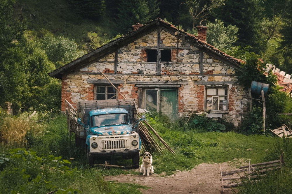 Фотография автора Ivelina Petkova