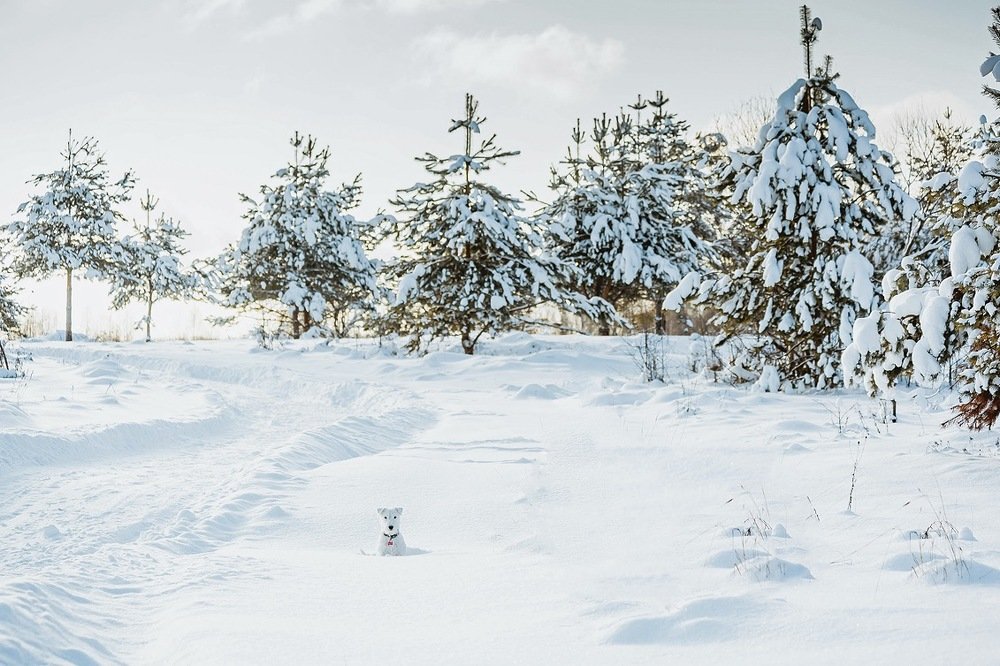 Photograph by Ольга Мурзина