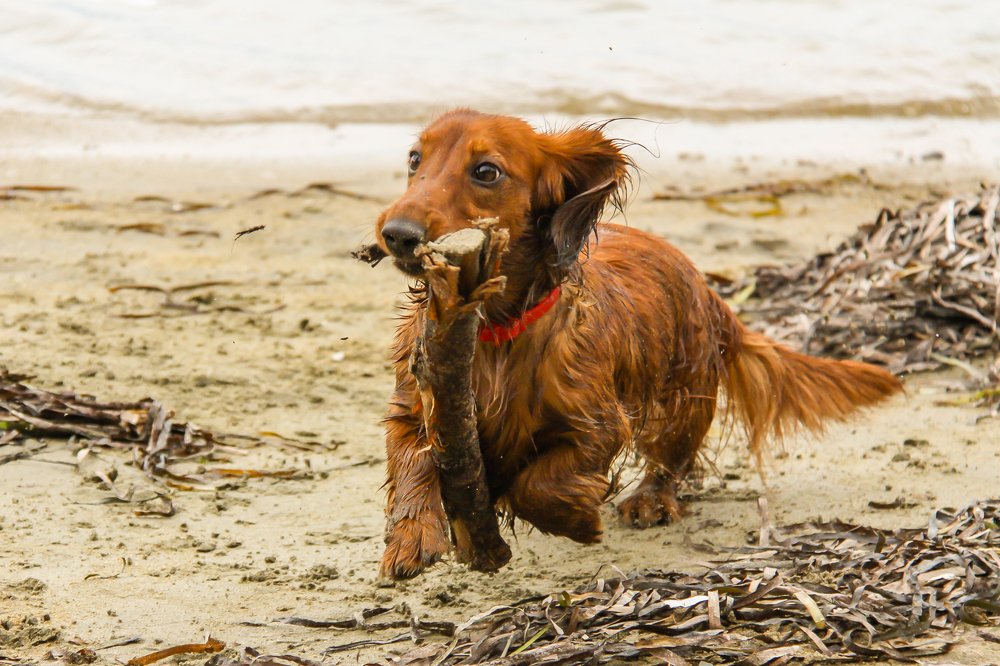 Photograph by Evgeniia Iakimenko