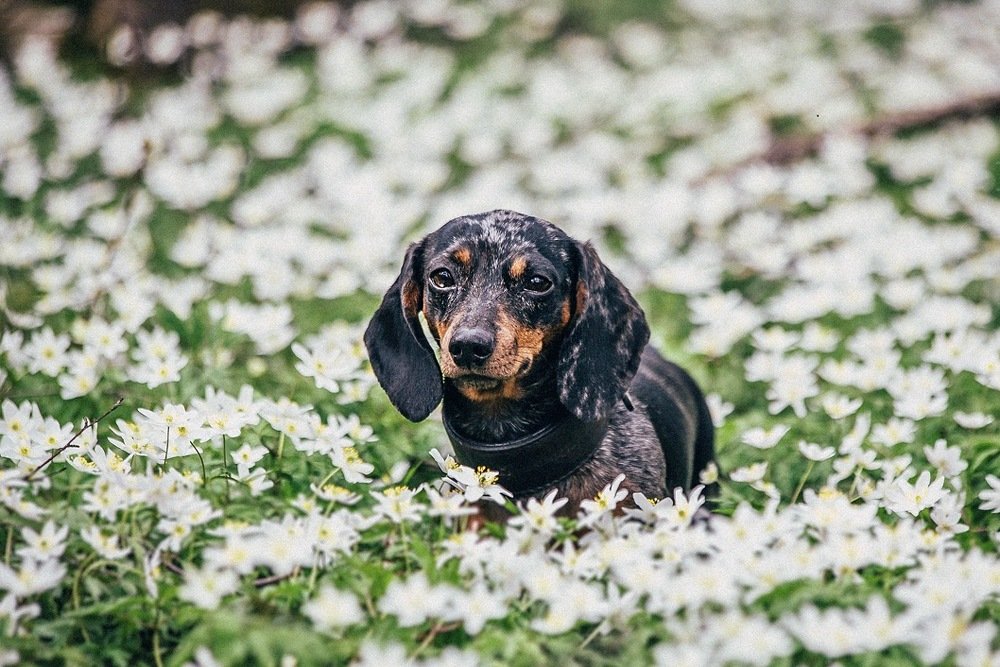 Photograph by Ольга Мурзина