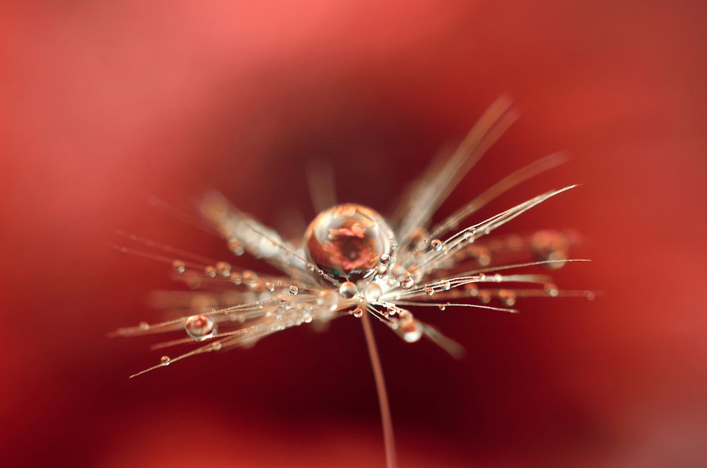 Мир деталей