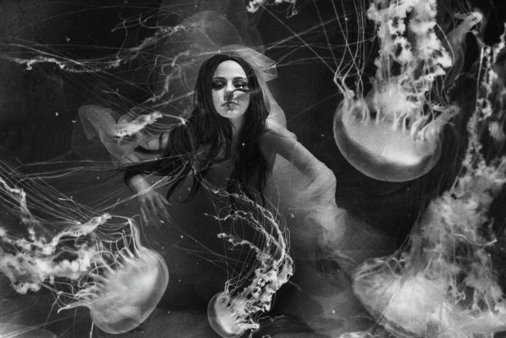 Photograph by Алина