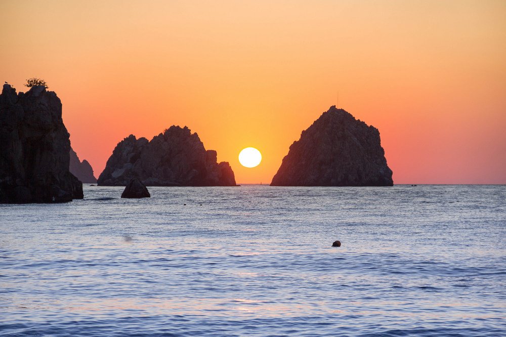 Photograph by Александр Ситник