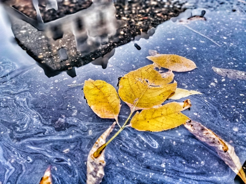 Photograph by Olga Haritonovich