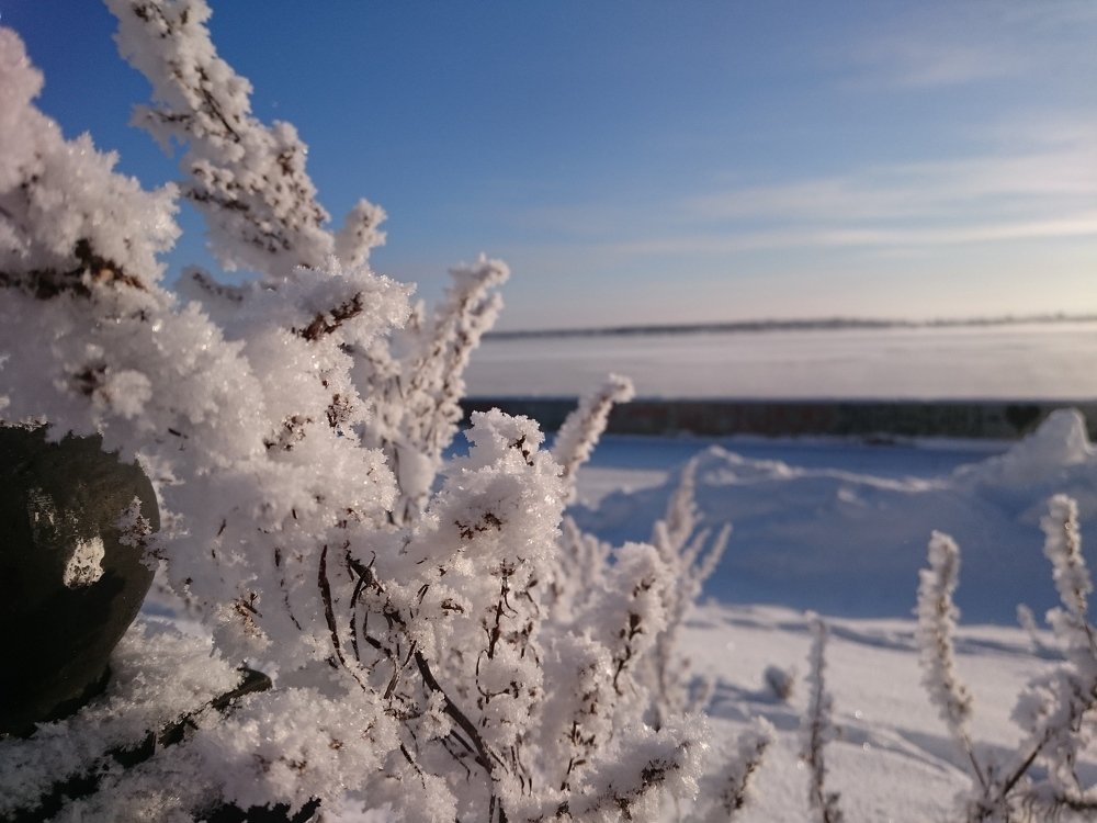 Photograph by НАТАЛЬЯ Мокроусова