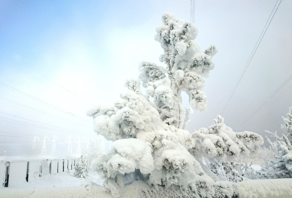 Photograph by НАТАЛЬЯ Мокроусова