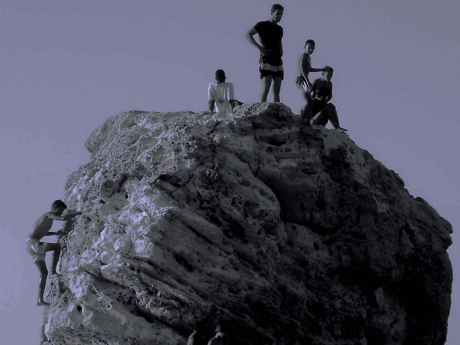 Photo #3654597