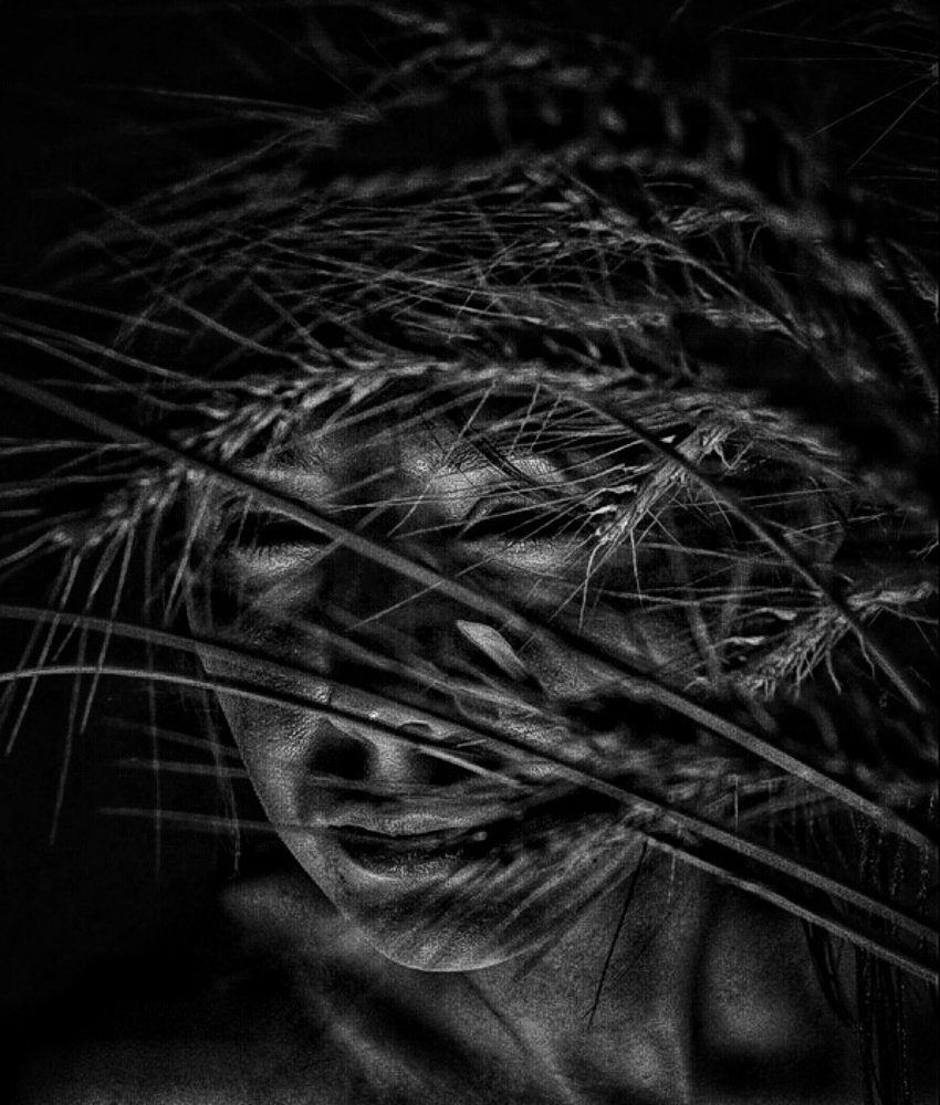 Photograph by Юлия